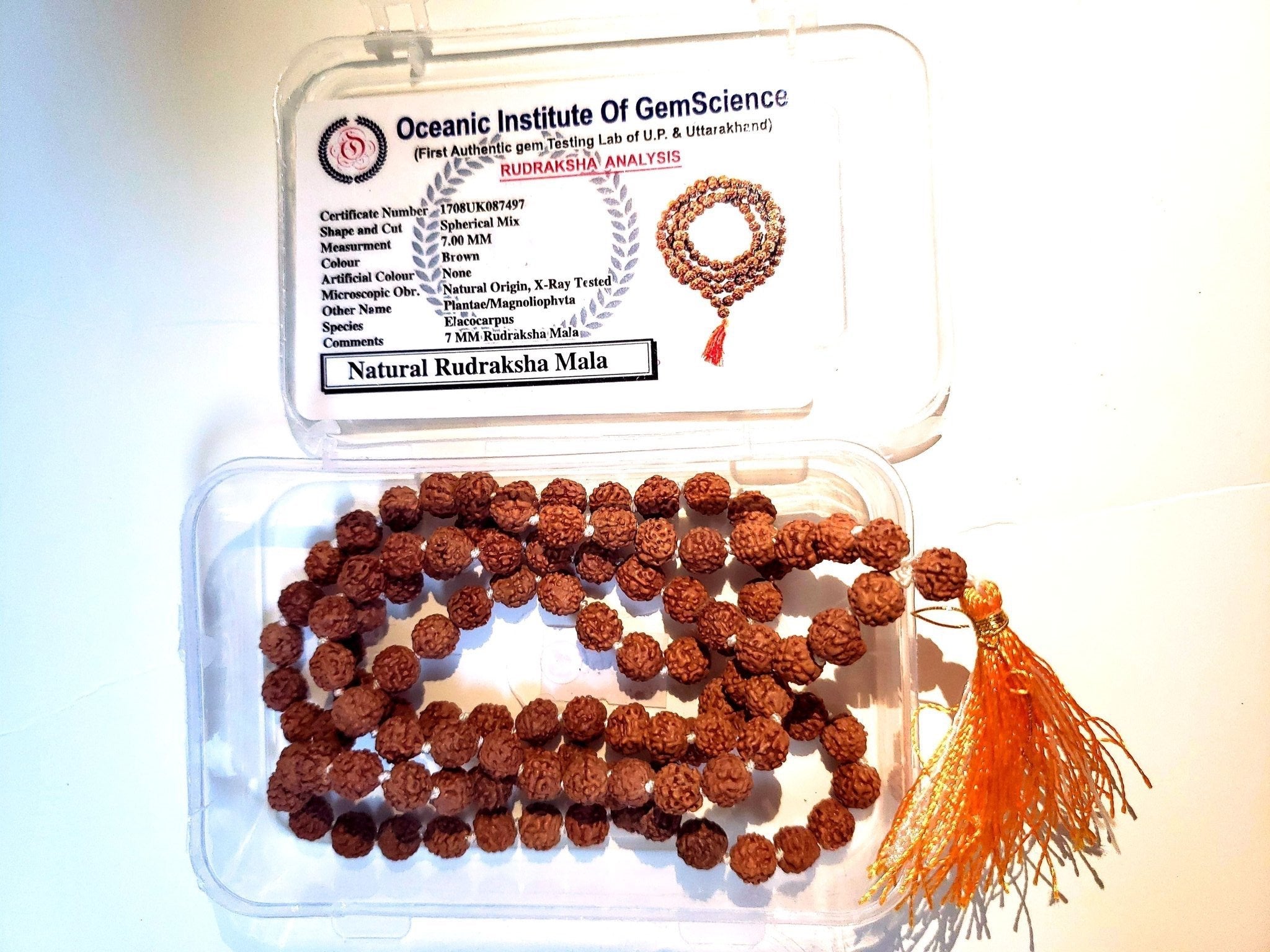 Shiva Rudraksha Mala (Orange) - Top grade lab certified Japa Mala from Haridwar, India. 108+1 prayer beads in 88 cm knotted orange thread with a tassel. 7mm bead size with 5 faces (Panch Mukhi). All our Rudraksha beads are spiritually activated with mantras before shipment.