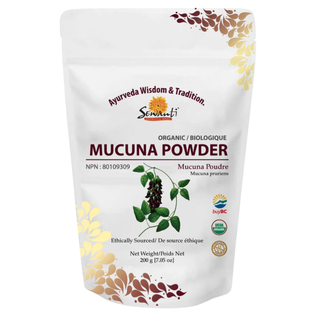 Organic Mucuna/Kapikachhu Powder - Mucuna pruriens