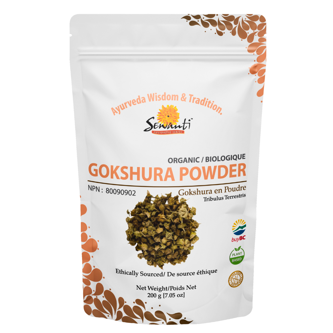 Kidney & Bladder Protector – Sewanti