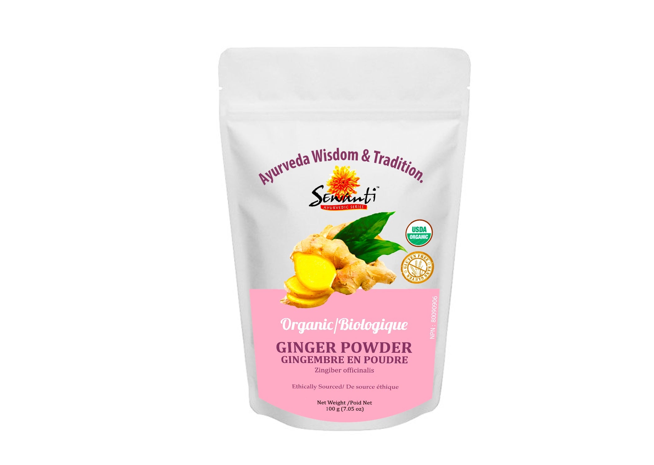 Organic Ginger Powder - Zingiber Officinalis